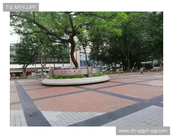 2017年火箭队常规赛预赛表及分区对手统计